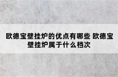 欧德宝壁挂炉的优点有哪些 欧德宝壁挂炉属于什么档次